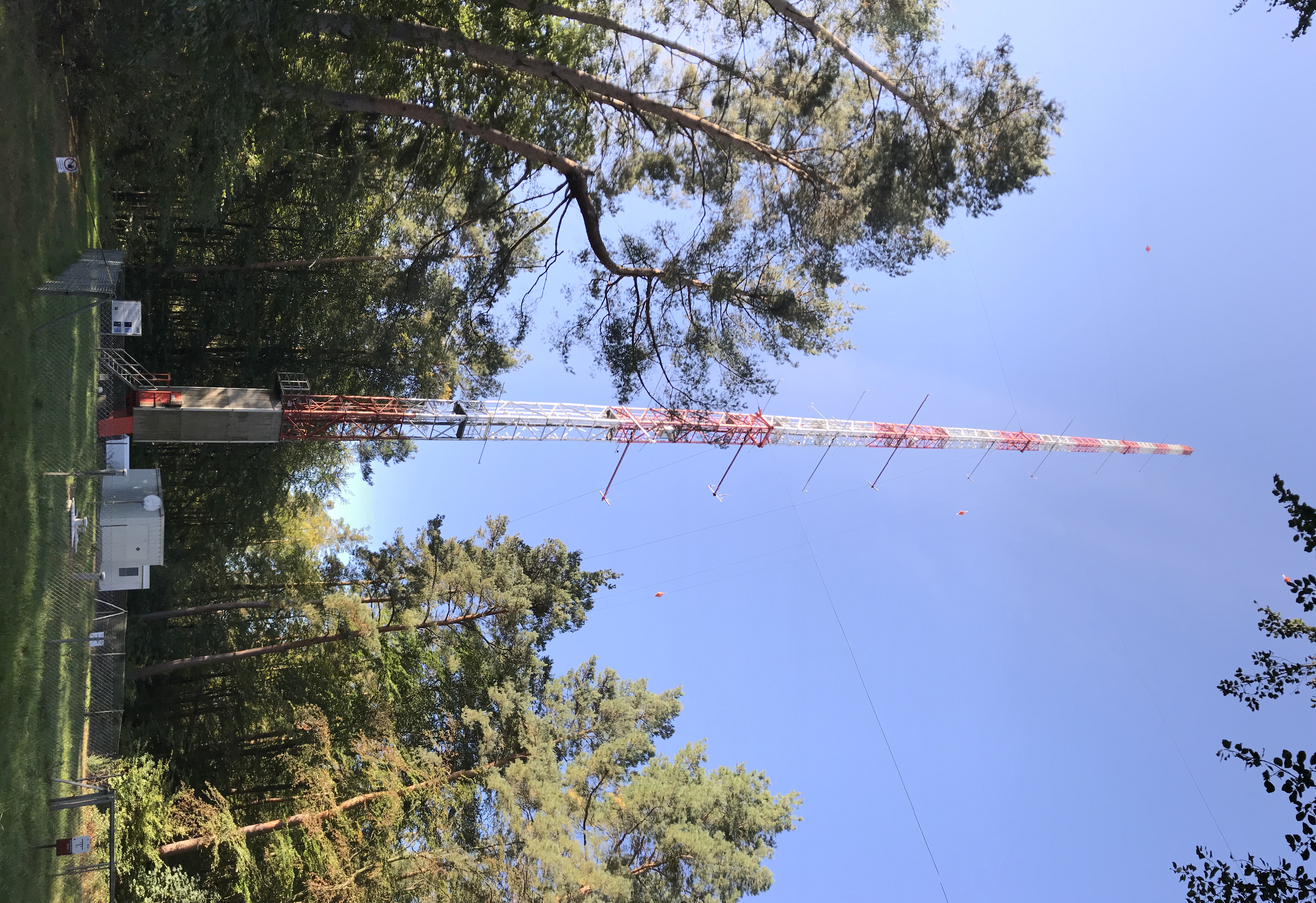 A ground view of the KIT meterological tower on a clear day surrounded by forest